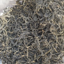 芝麻叶大量上市