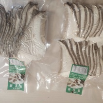 灵芝菇基地直供全国包邮