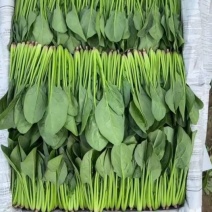 菠菜