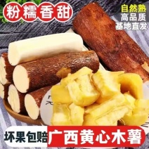 华南九号黄肉木薯