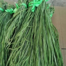 精品优质火锅贡菜产地直供爽口贡菜干货源充足欢迎选购