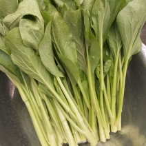 菜心