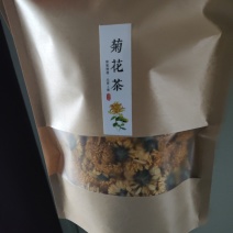黄山菊花