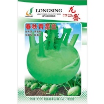 龙盛青培兰种子质脆味甜皮薄无纤维培兰种籽农家菜园基地用种