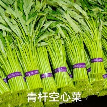 精品空心菜，青大叶，青柳叶