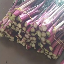 湖北红菜苔