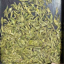 龙井
