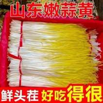 山东产地头茬蒜黄对接电商市场商超平台走货现场大量
