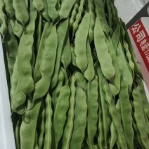 云南保山精品一点红油豆角对接全国市场量大从优欢迎采购热卖