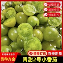 【寿光青甜】圣女果清口蜜质量保证味甜产地直发
