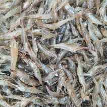 [牛]河虾四川河虾大量现货，规格齐全品质保证，可视频看货