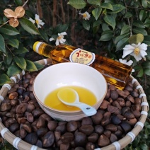 【老茶树纯正山茶油】古法压榨油小籽茶油现榨现发