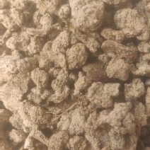 晒干红薯渣