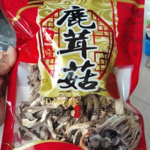 鹿茸菇干货食用菌特产食用菌鹿茸菌香菇蘑菇