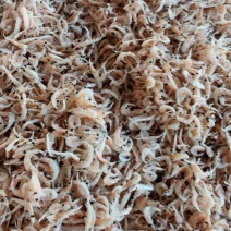 渤海湾引子虾小虾皮