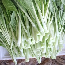菜心