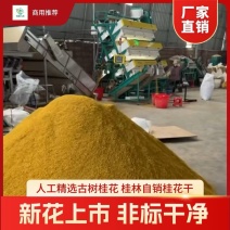 桂花干低价批发处理