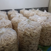 织金红托竹荪