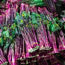 贵州高山菜苔红菜苔品质保证货源充足产地发货欢迎电联