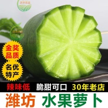 潍坊水果萝卜天星2号酥脆多汁，希卡利水果萝卜脆甜爽口