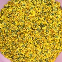 鲜野菊花