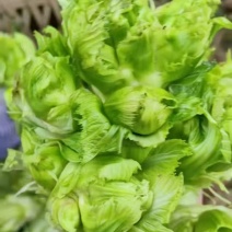 儿菜