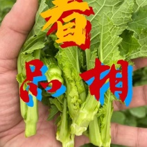 精品新鲜，实图拍照，数量不多，时间有限，不容错过。要得来
