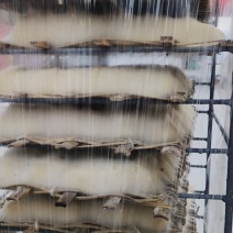 霉豆腐