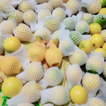 黑山黄金果