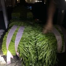 靓货，欢迎各位老板下单