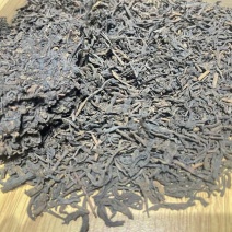 广西特色六堡茶产地直发批发零售均可对接全国量大从优