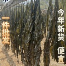 【实力优选】莆田海带/干海带/长海带/无沙海带/价美