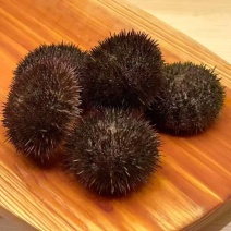 四季肥