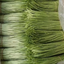 精品芦蒿，黎蒿，泥蒿