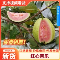 广西红心芭乐西瓜红，玉林产地直供，一手货源