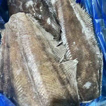 格陵兰比目鱼鸦片鱼鱼身