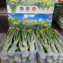 广州增城迟菜心
