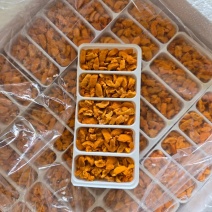 100克5孔马胆