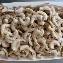 羊毛虾大量供应