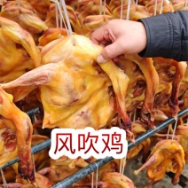 风吹鸡地摊电商批发风吹鸡腊鸡整只鸡腊味腊鸭腊肉腊肠