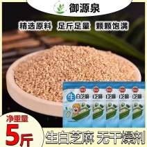 生白芝麻5斤带皮农家用优质烘焙原料商用批发