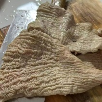 牛碗口7成熟