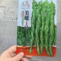 龙盛美螺一号辣椒种子薄皮辣椒螺丝椒种子辣味浓郁口感好