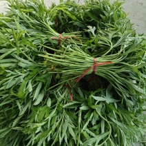 藜蒿（芦蒿）