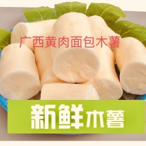 广西黄肉面包木薯