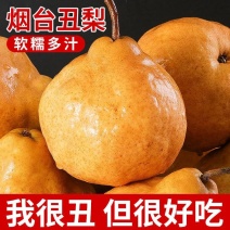 正宗山东烟台丑梨一件代发包邮包售后坏果包赔香甜多汁放软吃