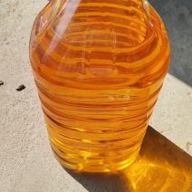 自家山茶油一万斤