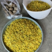 野菊花