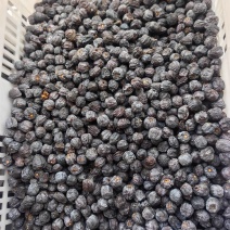 涉县有核黑枣，如黑珍珠般的果实，大量有货