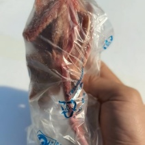鸽子有货便宜出